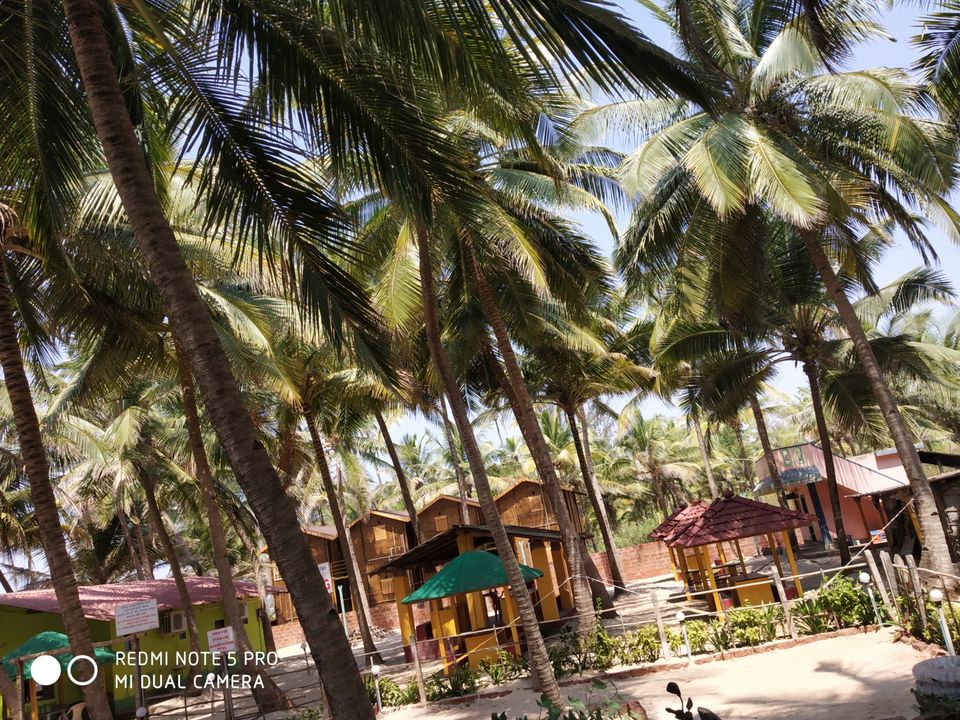 Photo of Malvan, Maharashtra, India by pratik waghela
