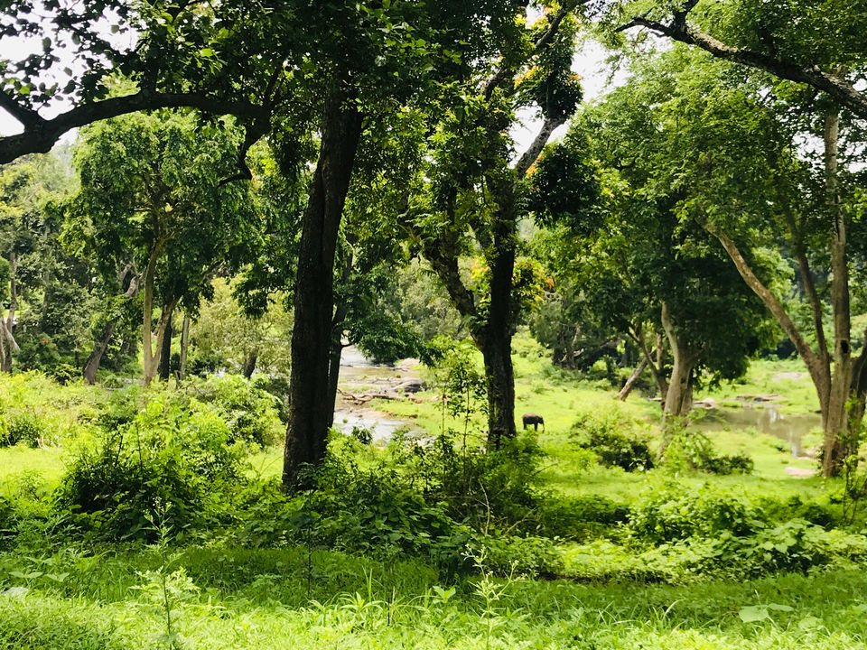 Photo of Bandipur National Park, Bandipur, Karnataka, India by Globetrotter’s Confessions
