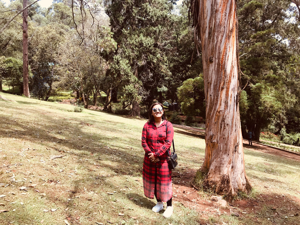 Photo of Coonoor, Tamil Nadu, India by Globetrotter’s Confessions