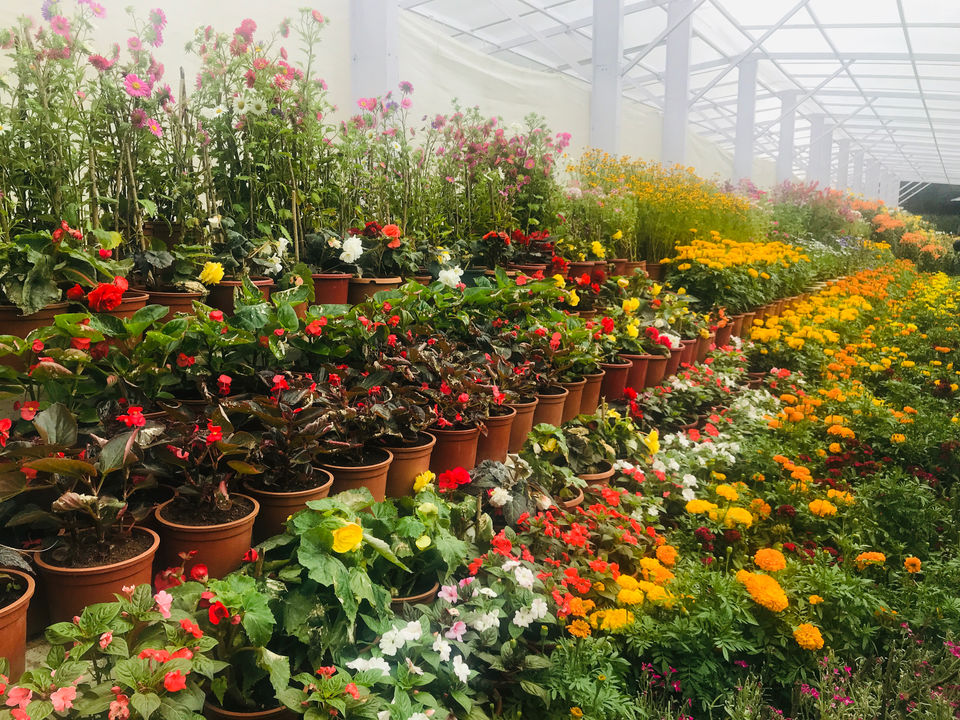 Photo of Coonoor, Tamil Nadu, India by Globetrotter’s Confessions