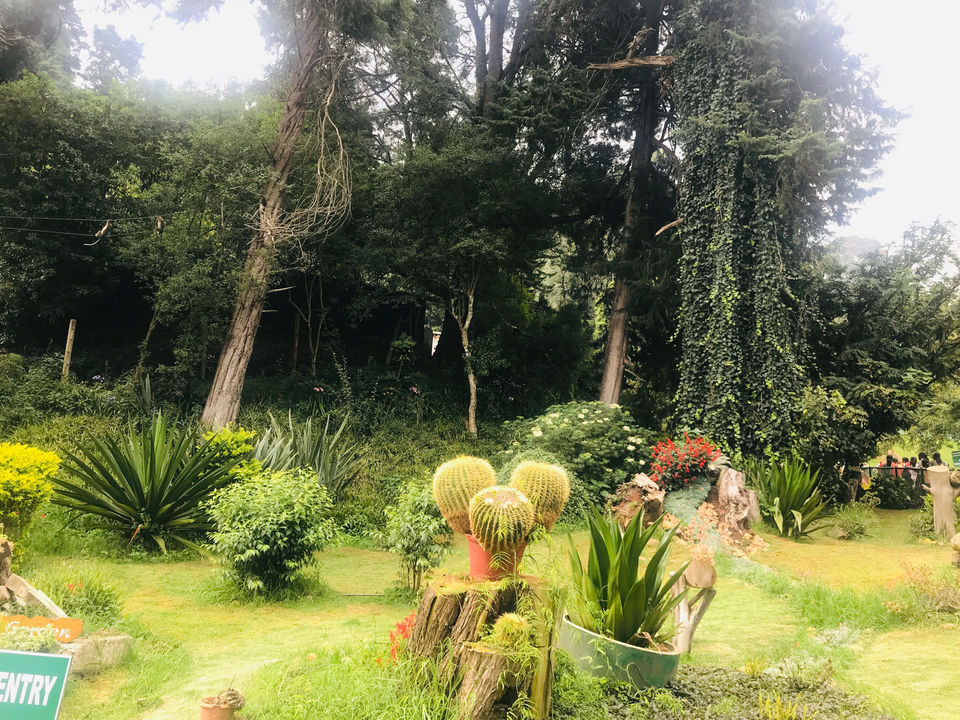Photo of Coonoor, Tamil Nadu, India by Globetrotter’s Confessions