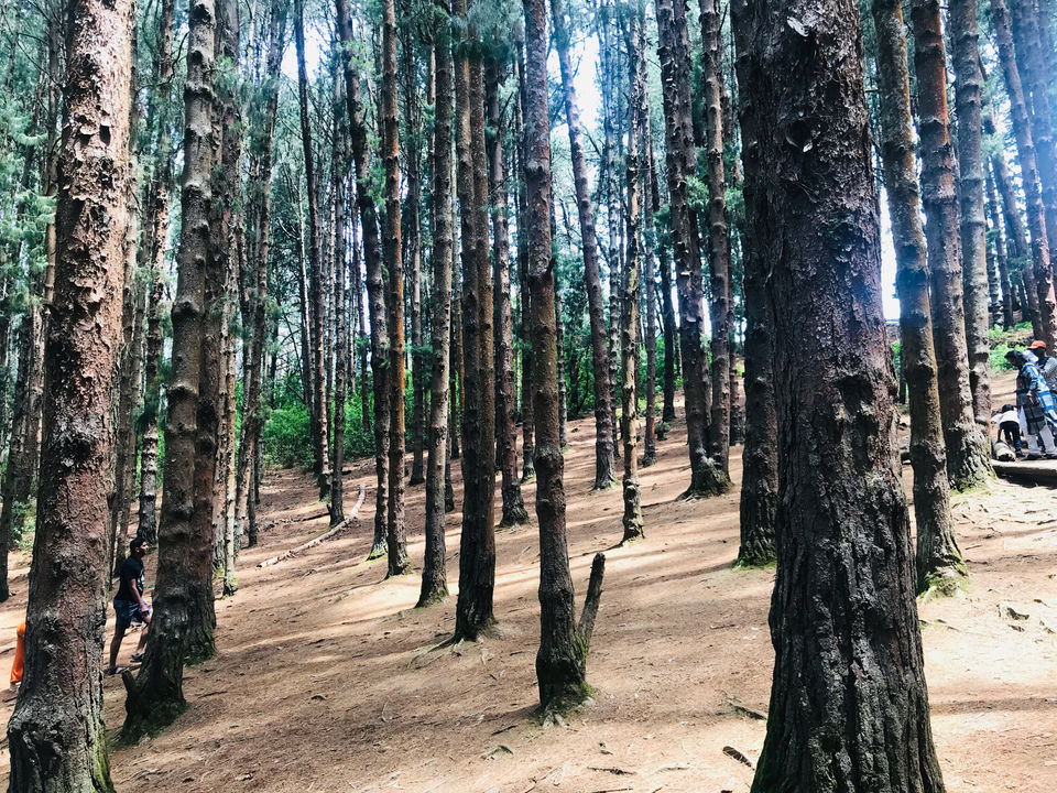 Photo of Ooty, Tamil Nadu, India by Globetrotter’s Confessions