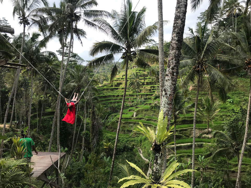 Photo of Ubud, Gianyar, Bali, Indonesia by Globetrotter’s Confessions