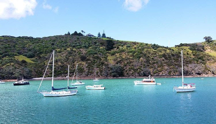 Photo of Auckland, New Zealand by Globetrotter’s Confessions