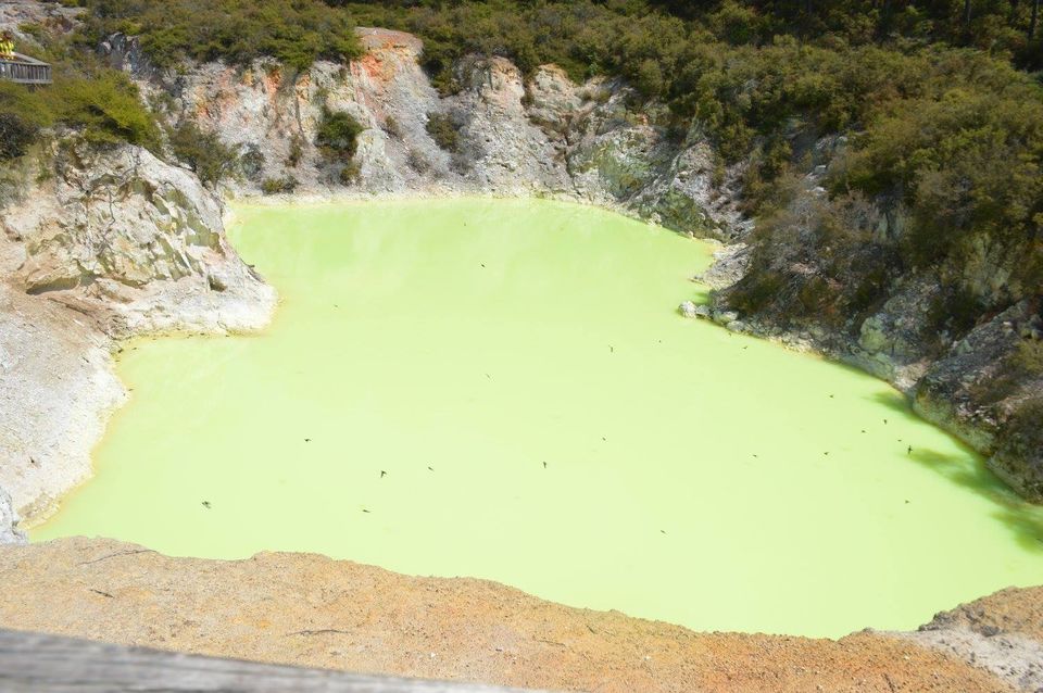Photo of Rotorua, New Zealand by Globetrotter’s Confessions