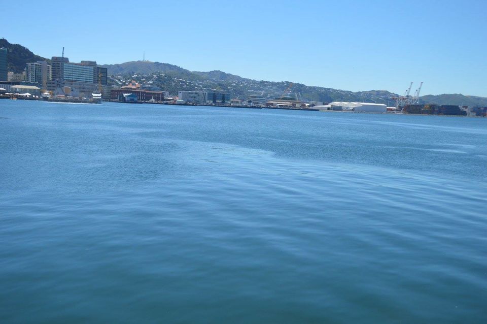Photo of Wellington, New Zealand by Globetrotter’s Confessions