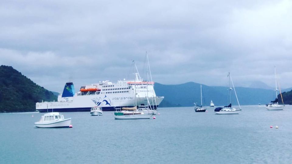 Photo of Wellington, New Zealand by Globetrotter’s Confessions