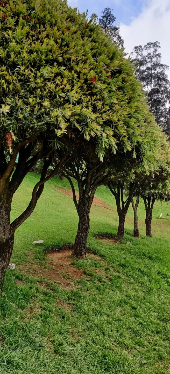 Photo of Ooty by Rakesh Kakati