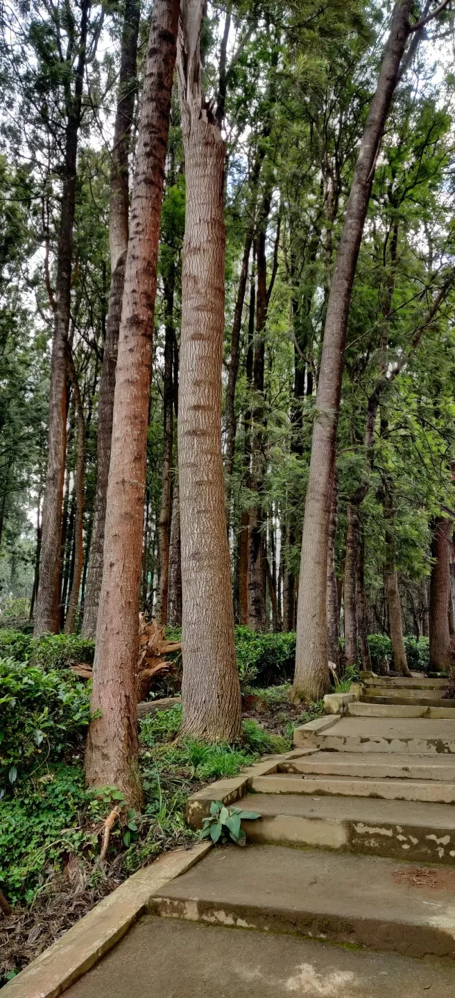 Photo of Ooty by Rakesh Kakati