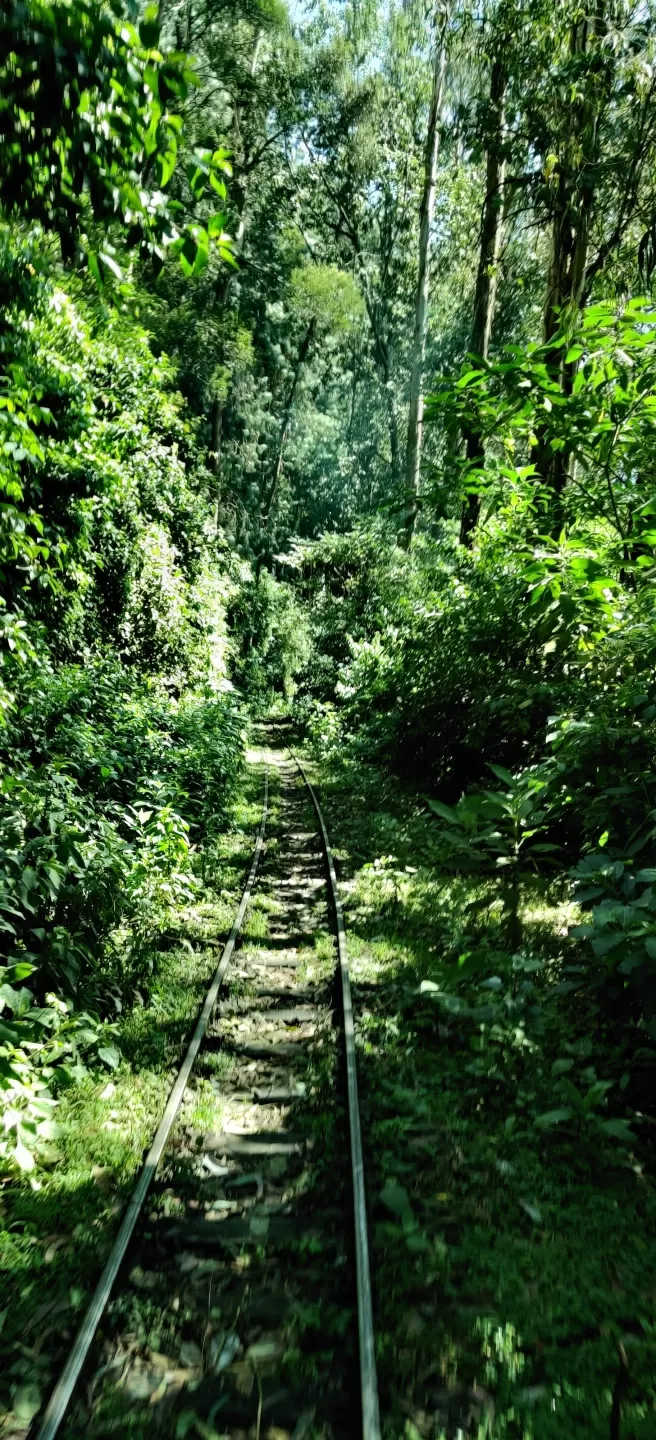 Photo of Ooty by Rakesh Kakati