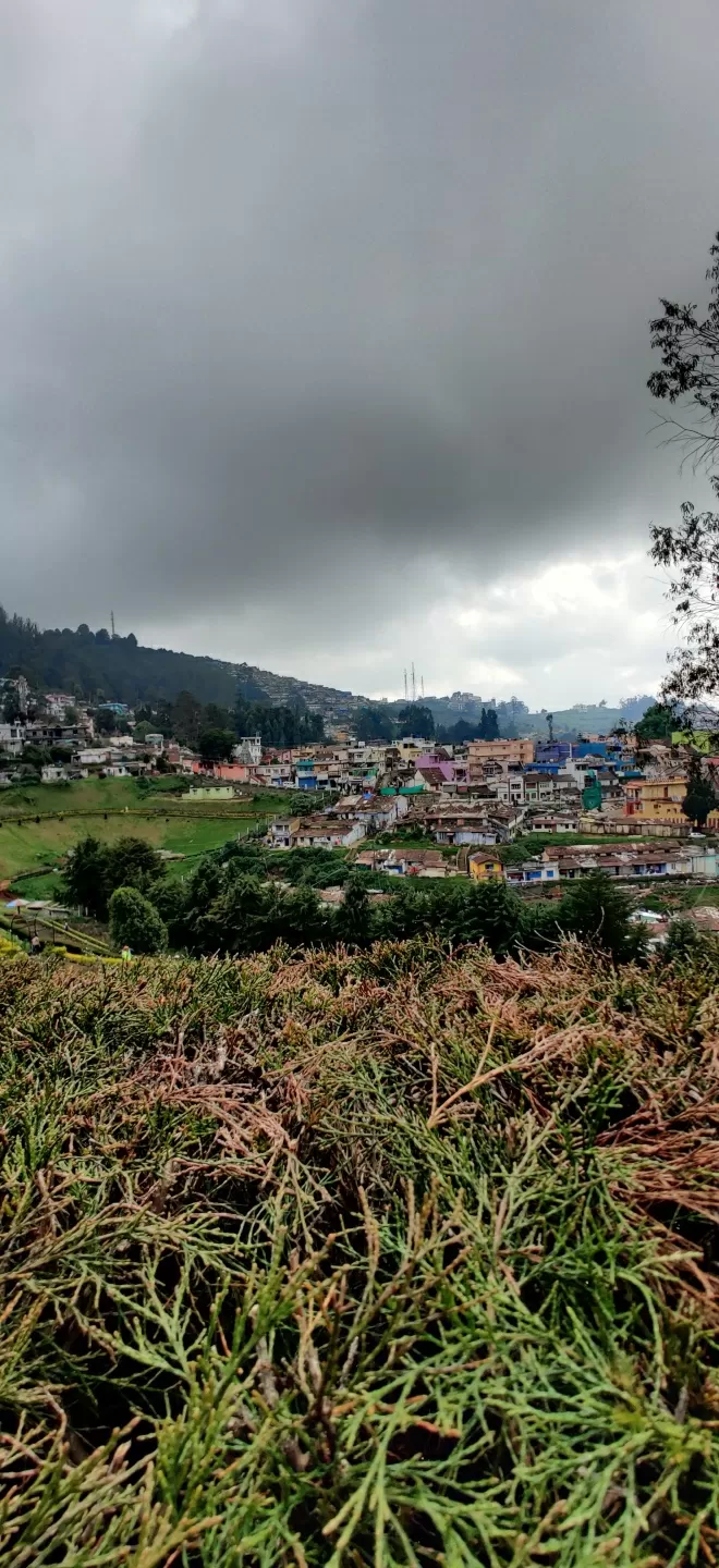 Photo of Mudumalai Tiger Reserve Office by Rakesh Kakati