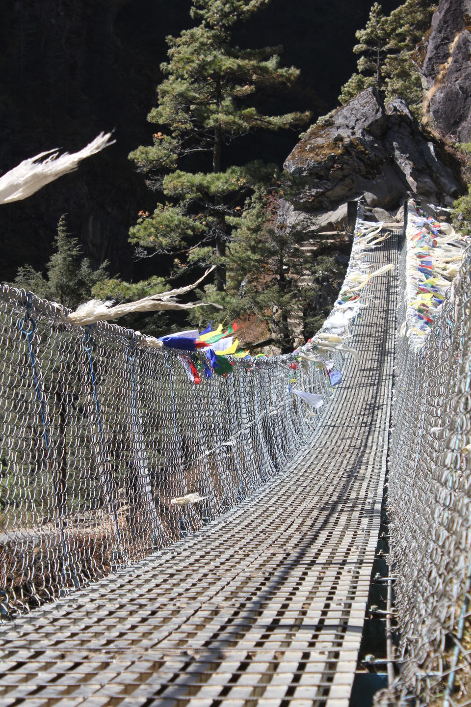 Photo of A dream called Everest Base Camp trek... by nandini