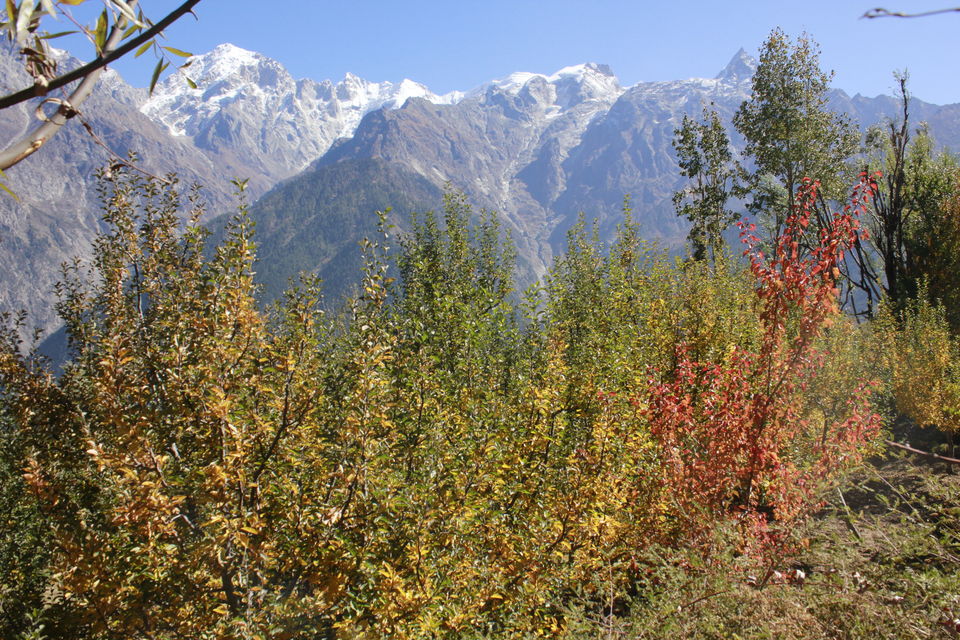 Photo of Kalpa, Reckong Peo, Himachal Pradesh, India by nandini