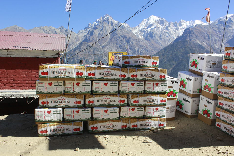 Photo of Kalpa, Reckong Peo, Himachal Pradesh, India by nandini