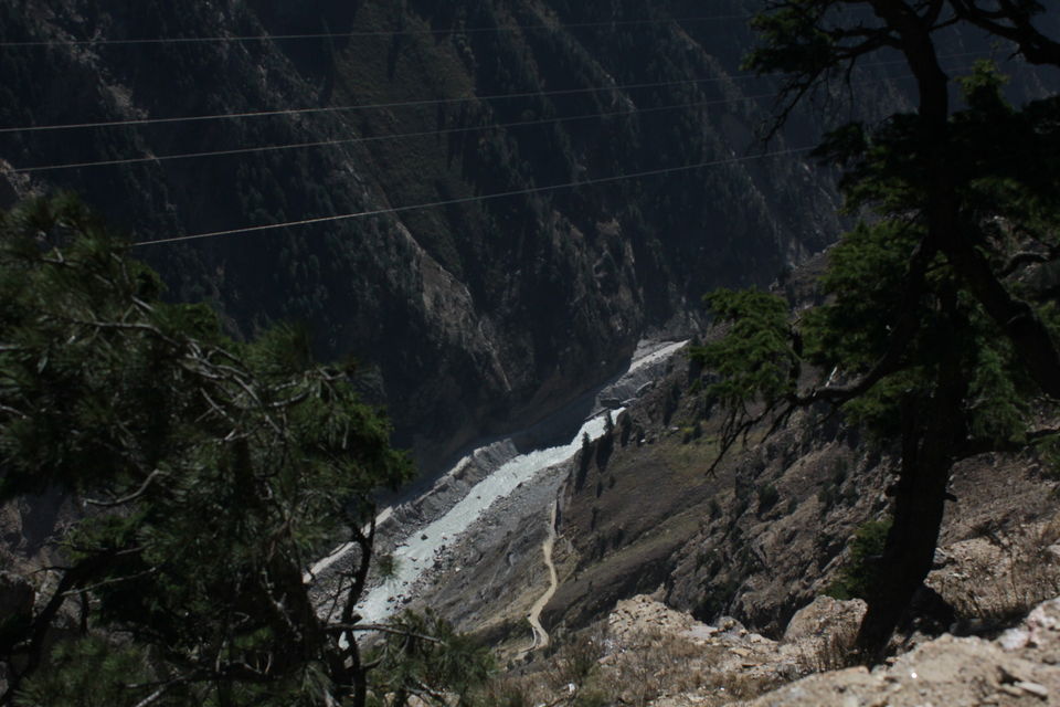 Photo of Roghi, Himachal Pradesh, India by nandini