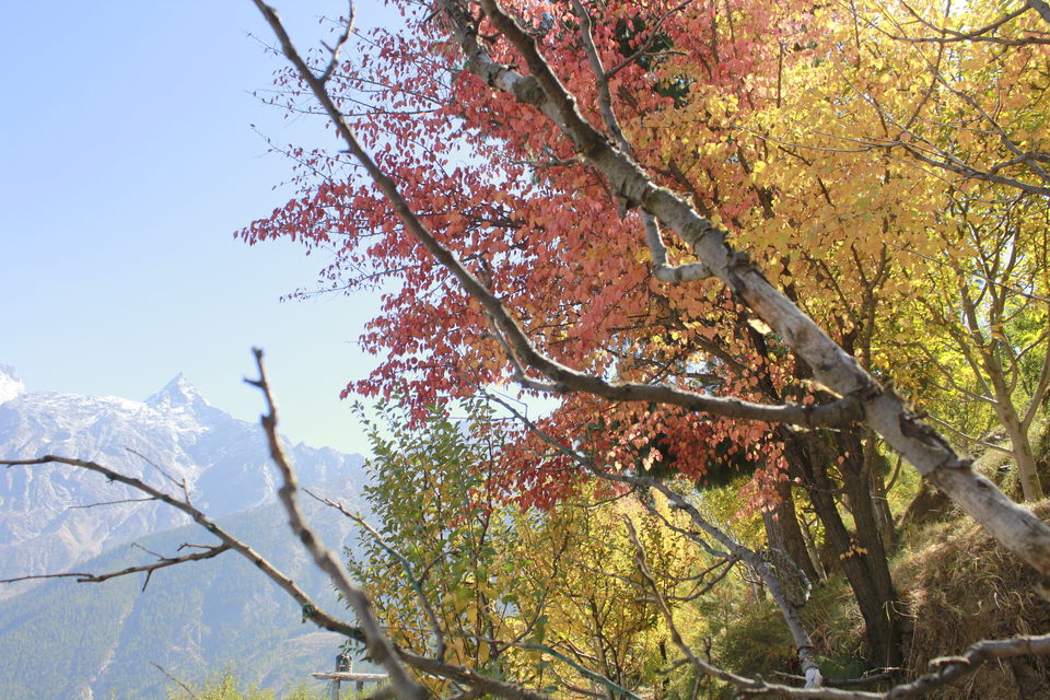 Photo of Kalpa, Reckong Peo, Himachal Pradesh, India by nandini