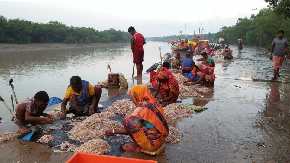 Photo of Mousuni, West Bengal by NILADRI ROY