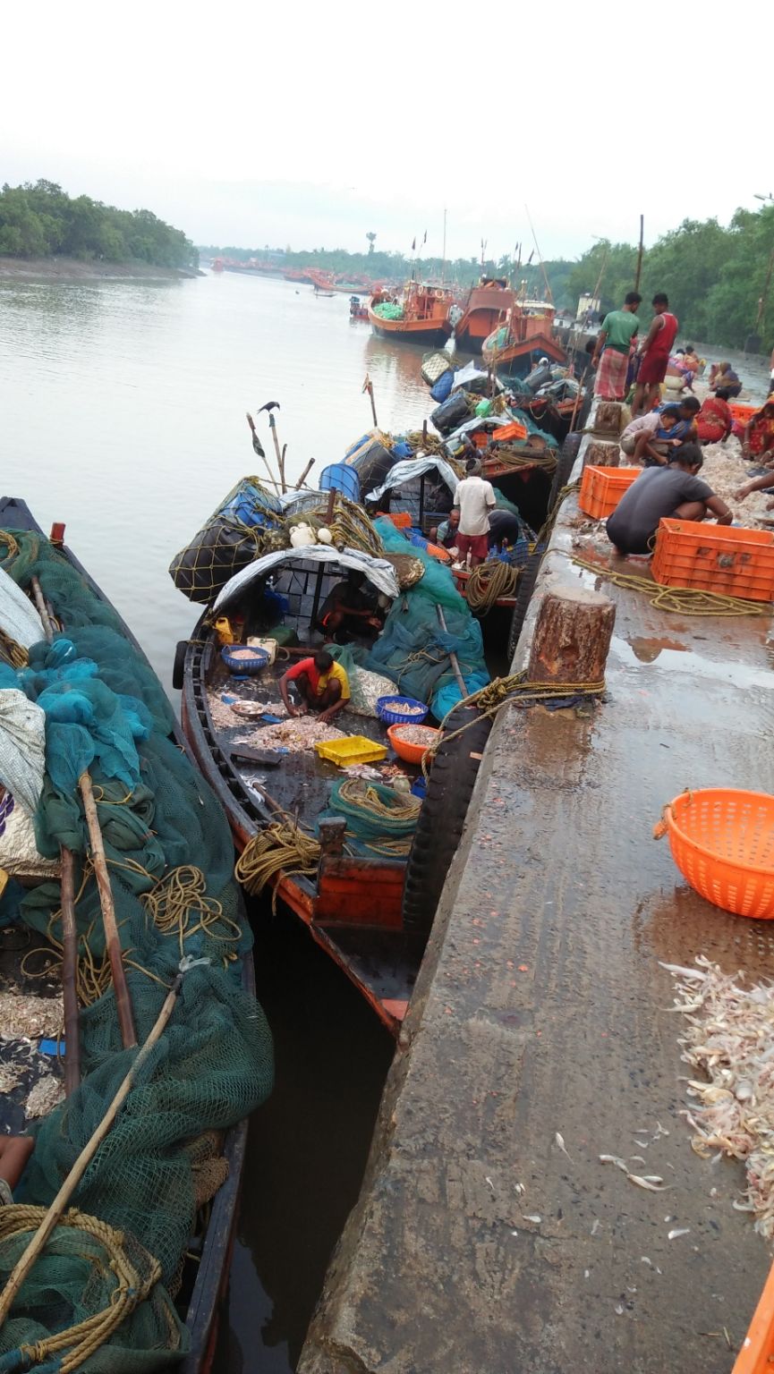 Photo of Mousuni, West Bengal by NILADRI ROY