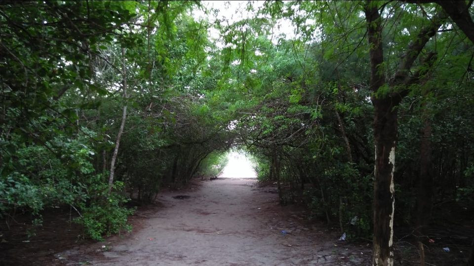 Photo of Mousuni, West Bengal by NILADRI ROY