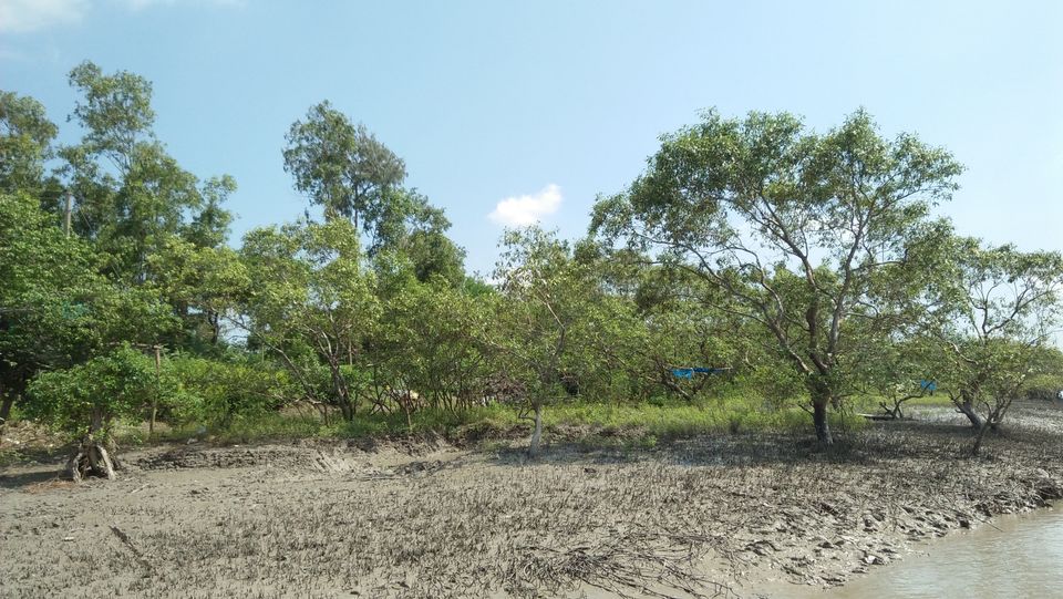Photo of Mousuni, West Bengal by NILADRI ROY