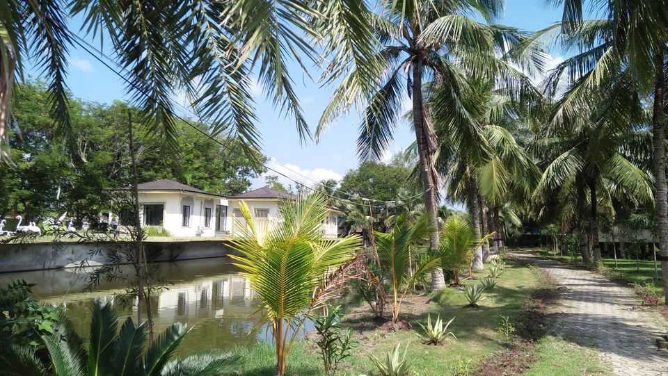 Photo of Mousuni, West Bengal by NILADRI ROY