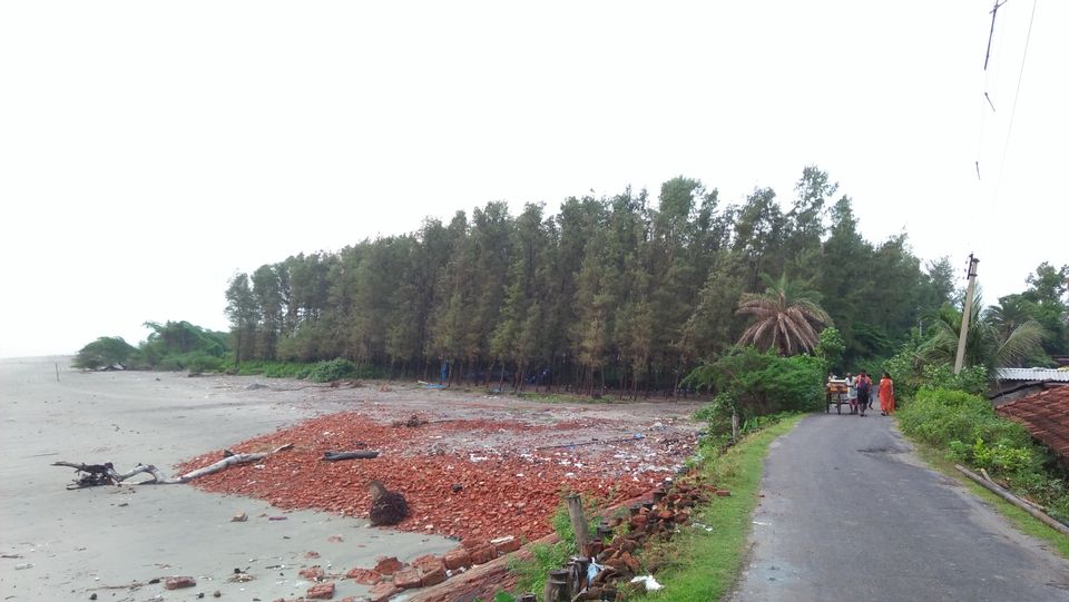 Photo of Mousuni, West Bengal by NILADRI ROY