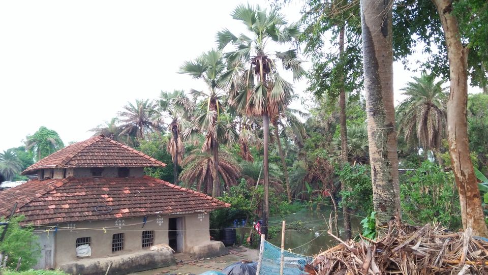 Photo of Mousuni, West Bengal by NILADRI ROY