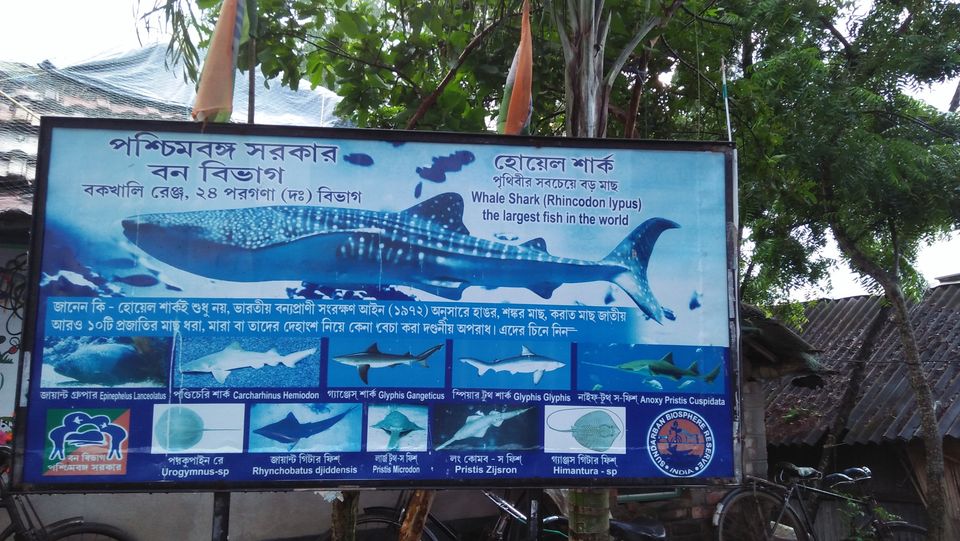 Photo of Mousuni, West Bengal by NILADRI ROY