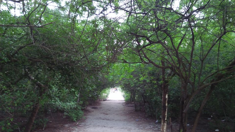 Photo of Mousuni, West Bengal by NILADRI ROY