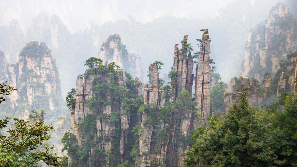 Photo of WULINGYUAN FOREST by Clueless Compass
