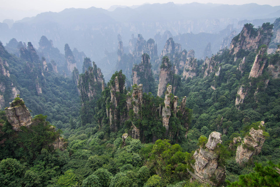 Photo of WULINGYUAN FOREST by Clueless Compass