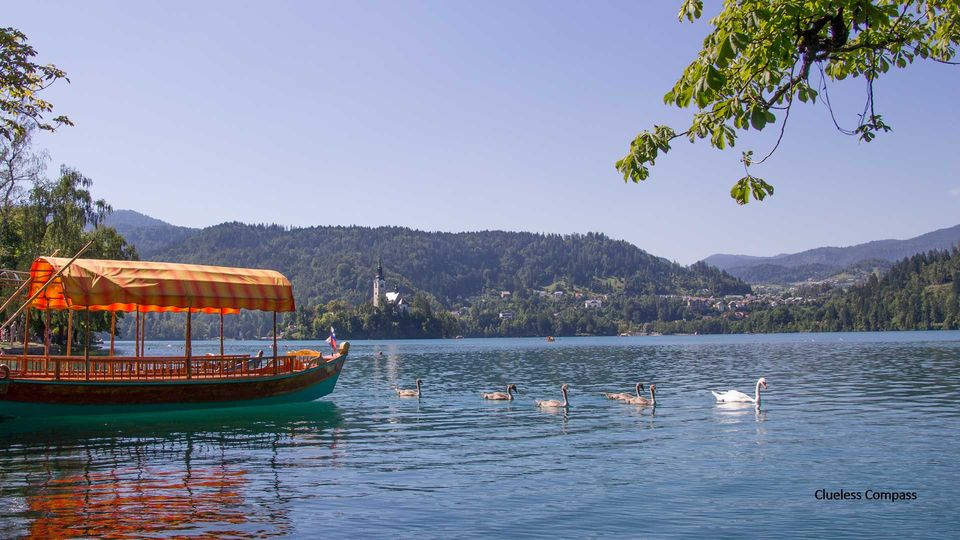 Photo of LAKE BLED by Clueless Compass