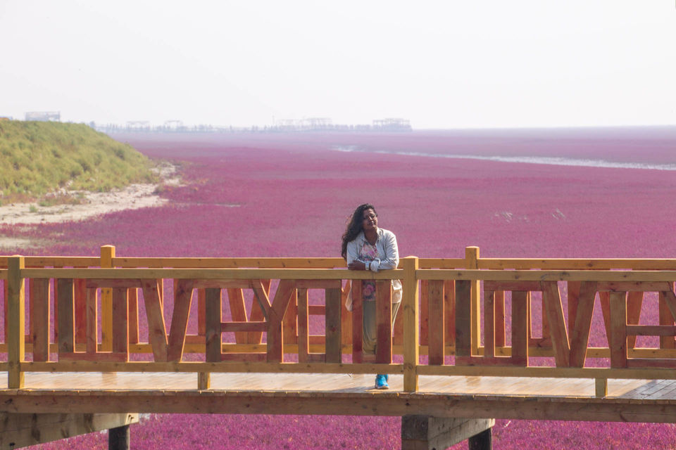 Photo of LIAOHE DELTA by Clueless Compass