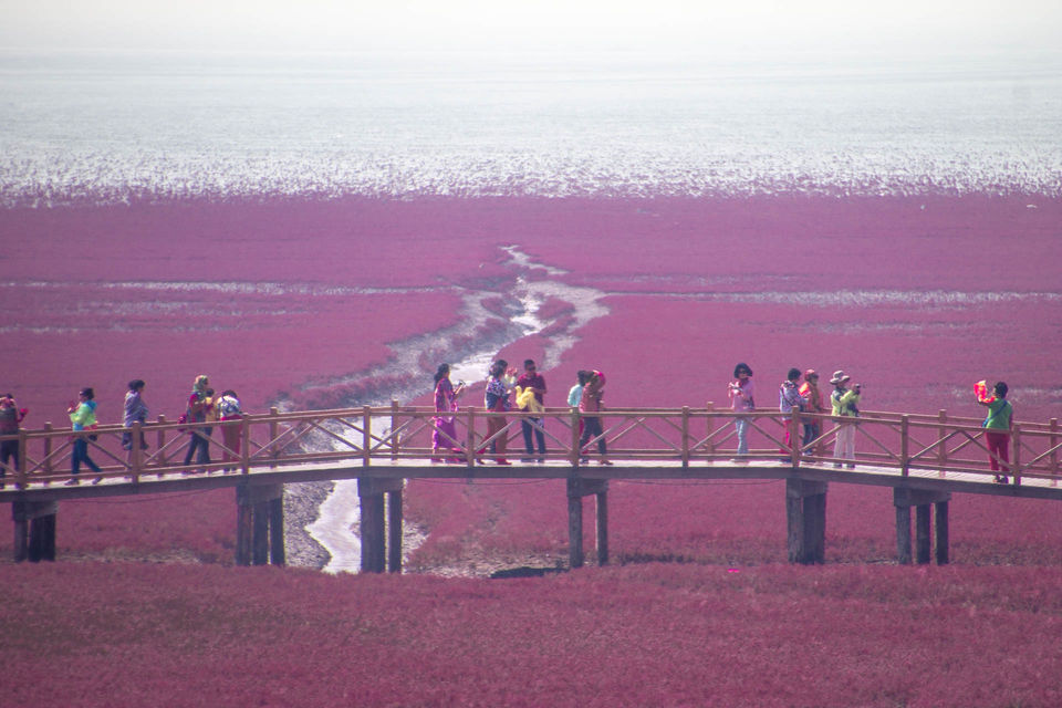 Photo of Panjin Honghaitan, Dawa, Panjin, Liaoning, China by Clueless Compass