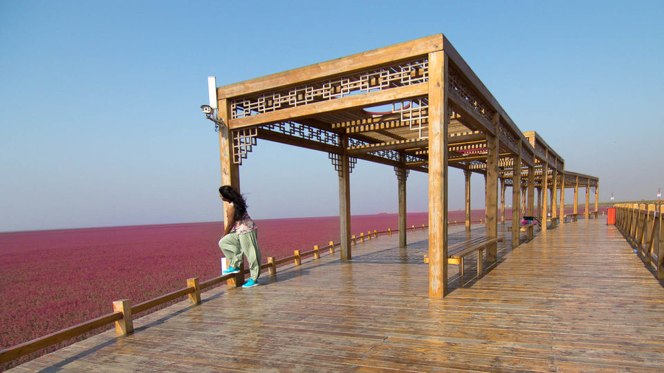 Photo of LIAOHE DELTA by Clueless Compass