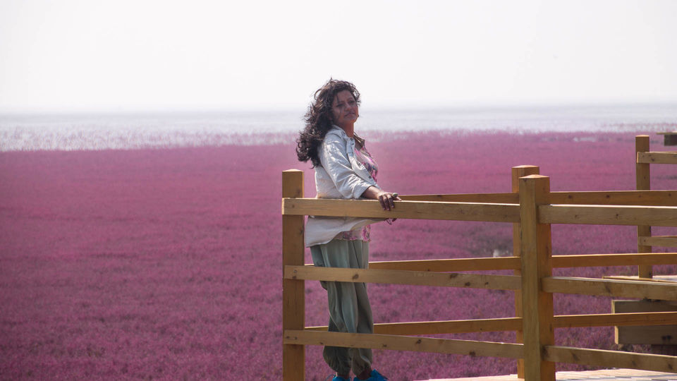 Photo of LIAOHE DELTA by Clueless Compass