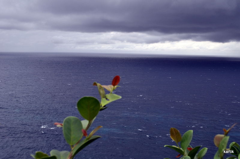 Photo of 5 things to do in Bali by Let's Expresso