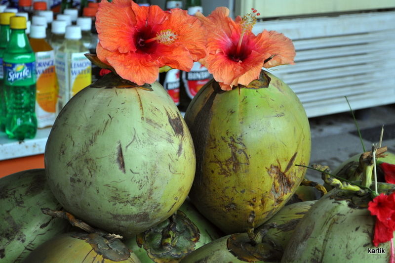 Photo of 5 things to do in Bali by Let's Expresso