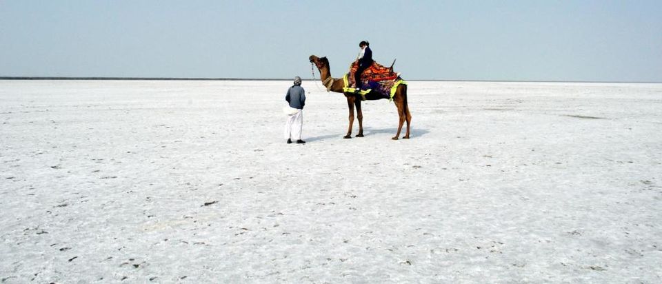 Photo of Road Tripping from Delhi to The Rann of Kutch by Let's Expresso