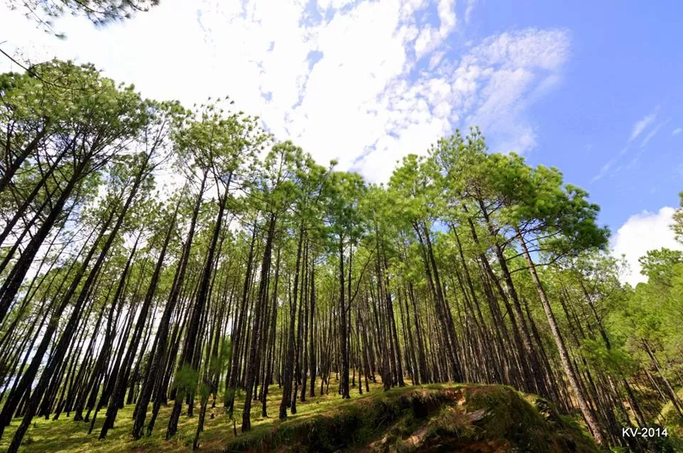 Photo of Chaukori, Uttarakhand, India by Let's Expresso