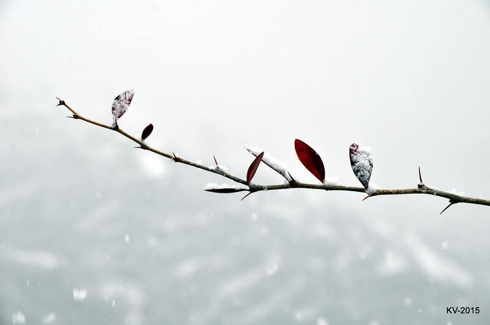 Photo of 5 reasons to visit Harsil-Dharali-Gangotri in winters by Let's Expresso
