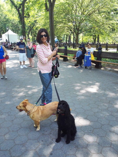 Photo of Live and Let Live: 20 Best things to do in New York City by Let's Expresso