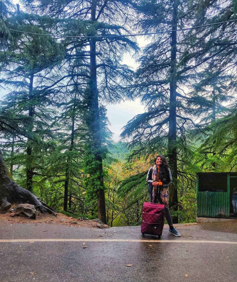 Photo of 8 Best Influencers You Need To Follow On Tripoto For Intense Travel Vibes by shira