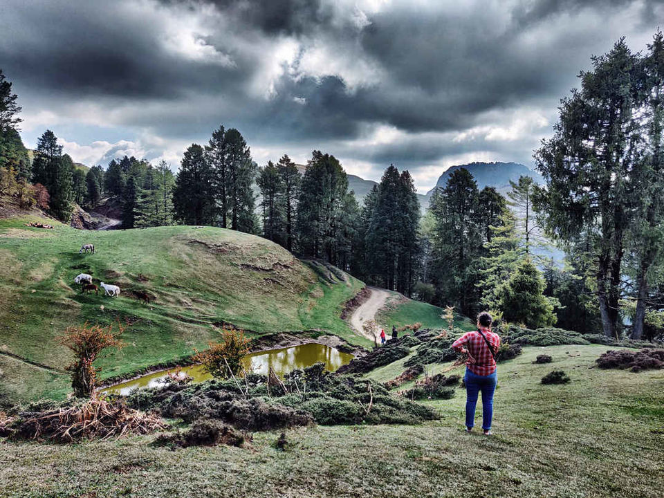 Photo of Prashar Lake | A Delightful Getaway by Shobita Negi