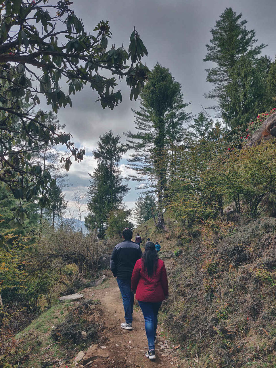 Photo of Prashar Lake | A Delightful Getaway by Shobita Negi