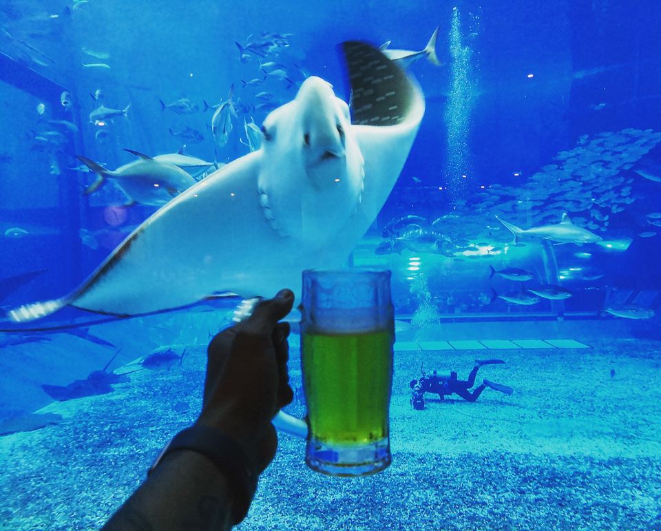 Photo of This Couple Has Travelled to Every Country in the World (With Full-Time Jobs!) 7/11 by shruti