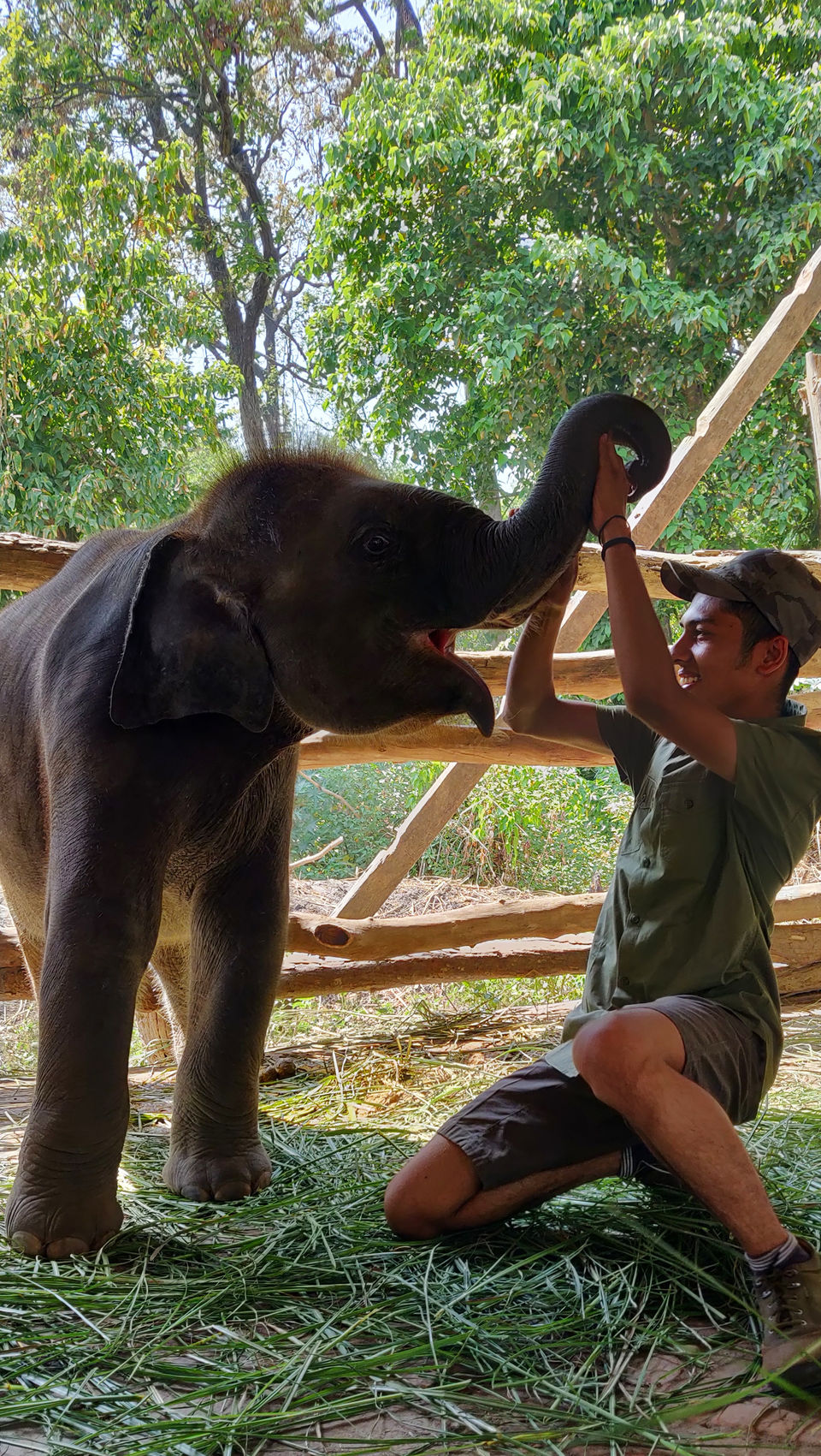Photo of Introducing Corbett's Modern Day Mowg'ali'! 11/15 by shruti