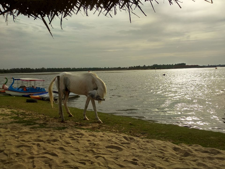 Photo of While in Pondy!! by Amrit Panda