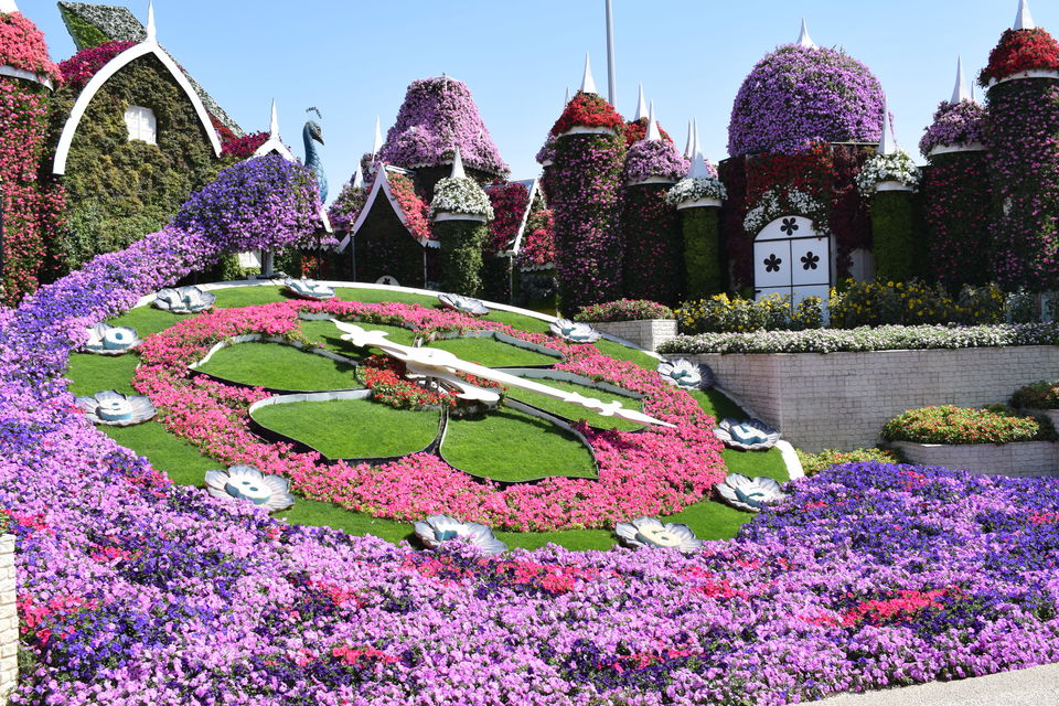 Photo of Dubai Miracle Garden - Dubai - United Arab Emirates by Shruthi