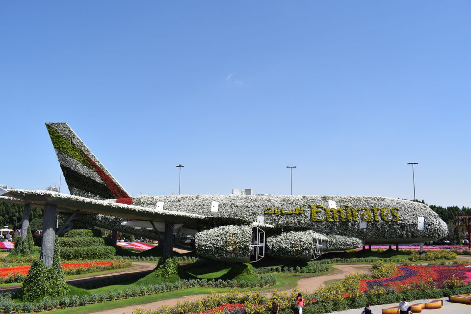 Photo of Dubai Miracle Garden - Dubai - United Arab Emirates by Shruthi